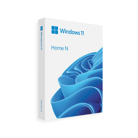 Lp 마이크로소프트 Windows 11 Home 처음사용자용 FPP(USB)